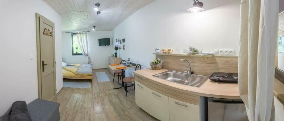 Pod Horou Apartment *